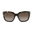 Tom Ford Brown Gradient Sunglasses TF0502 55 (Ex Display) Sale