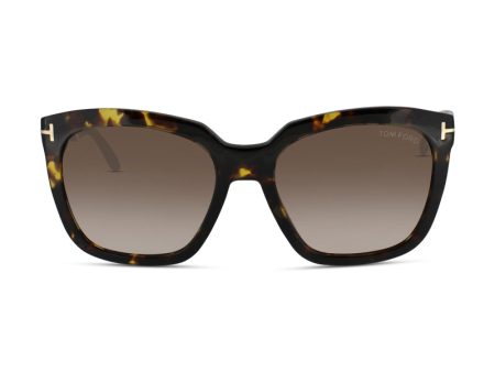 Tom Ford Brown Gradient Sunglasses TF0502 55 (Ex Display) Sale