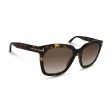 Tom Ford Brown Gradient Sunglasses TF0502 55 (Ex Display) Sale