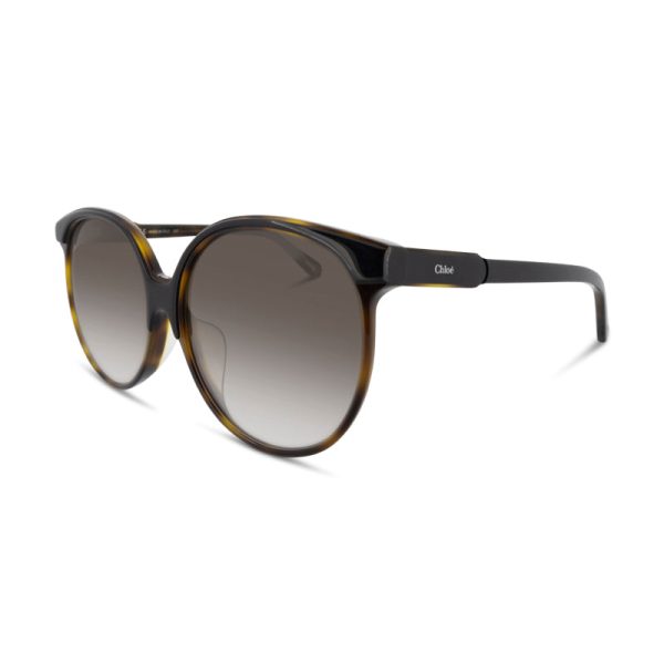 Chloe Havana Round Sunglasses CE735SA 004 (Ex Display) Online Hot Sale