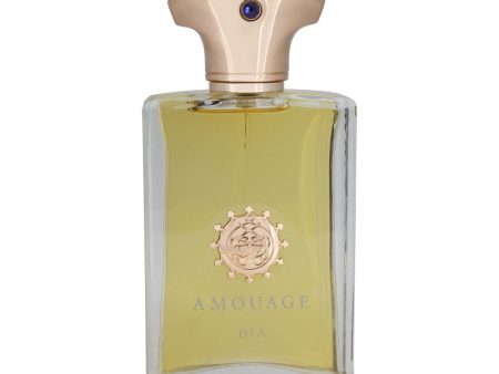 Amouage Dia 100ml Eau De Parfum Pour Homme For Sale