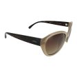 Invu Unisex Sunglasses Beige Demi Gradient Brown B2509C Ladies Sunglasses Sale