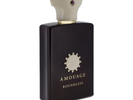 Amouage Boundless 100ml Eau De Parfum Unisex Online now