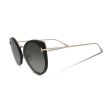 Tom Ford Cat Eye Havana Sunglasses TF683 52K (Ex Display) Hot on Sale