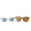 Have A Look Type B Olive and City Horn Sunglasses +1.50 For Discount