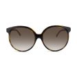 Chloe Havana Round Sunglasses CE735SA 004 (Ex Display) Online Hot Sale