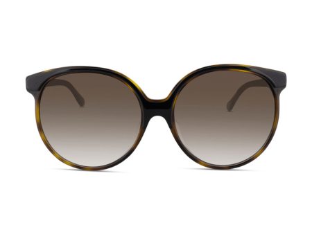 Chloe Havana Round Sunglasses CE735SA 004 (Ex Display) Online Hot Sale