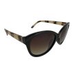 Invu Ladies Black Brown Gradient Sunglasses T2610E For Sale